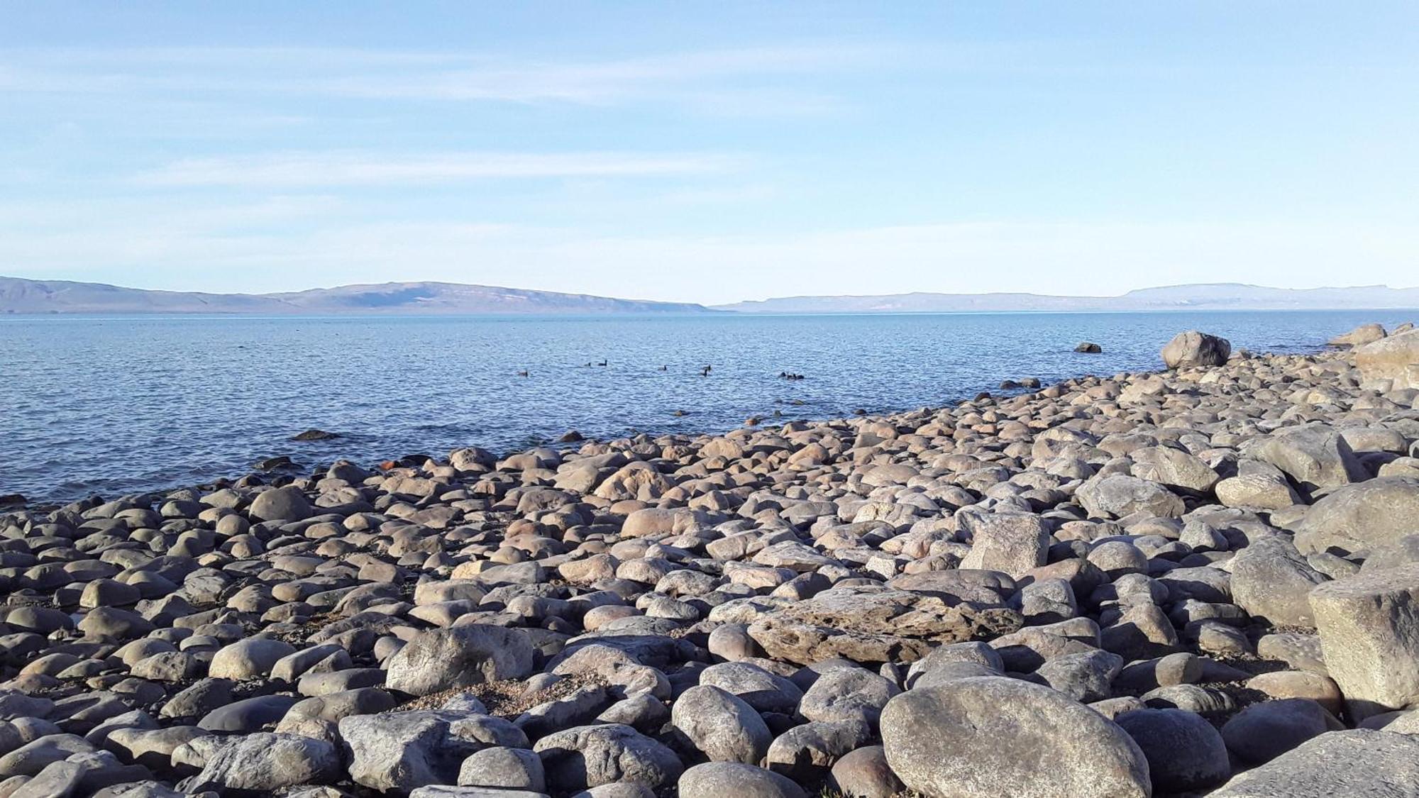 Hostel Aves Del Lago El Calafate Zewnętrze zdjęcie