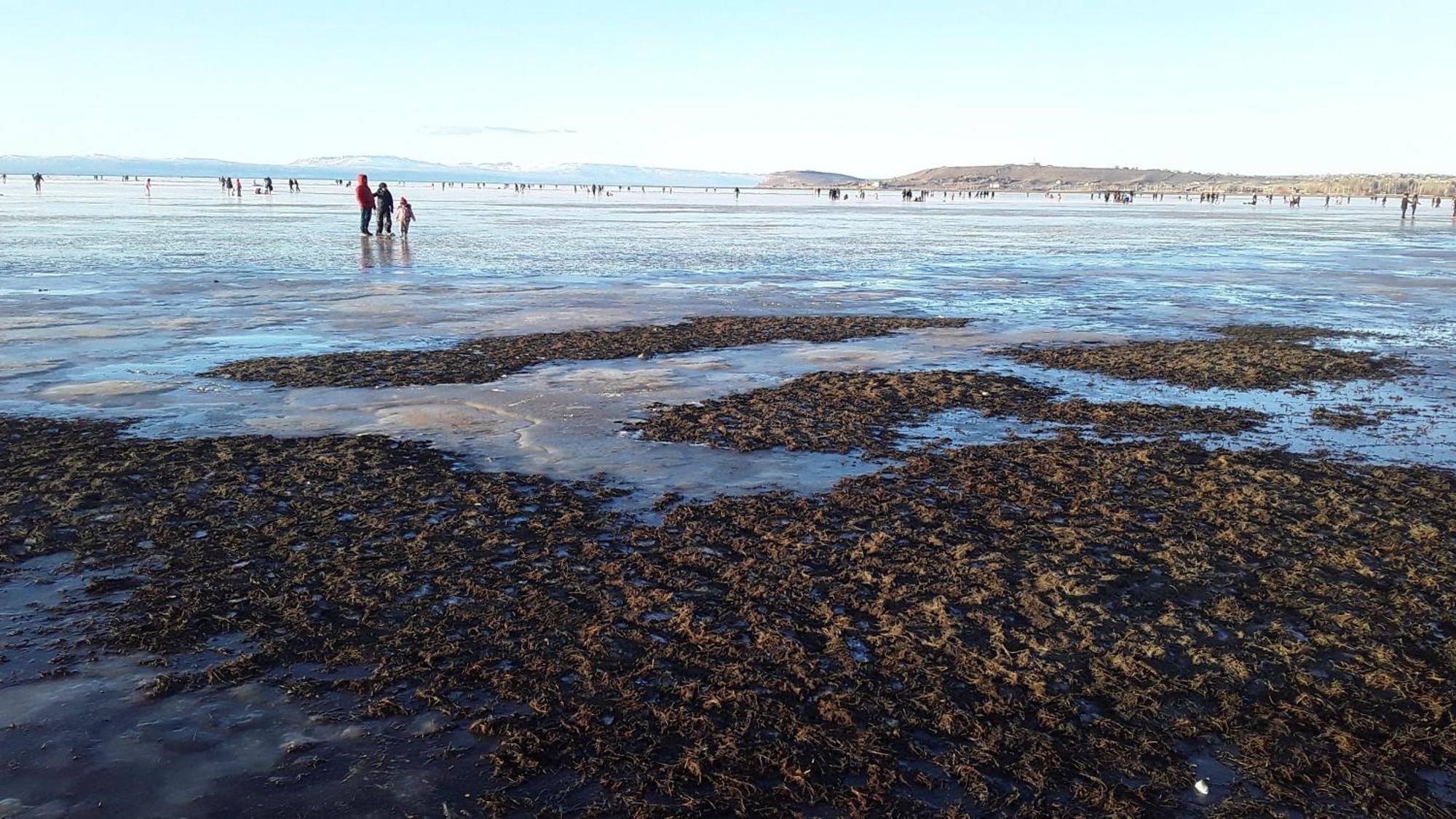 Hostel Aves Del Lago El Calafate Zewnętrze zdjęcie