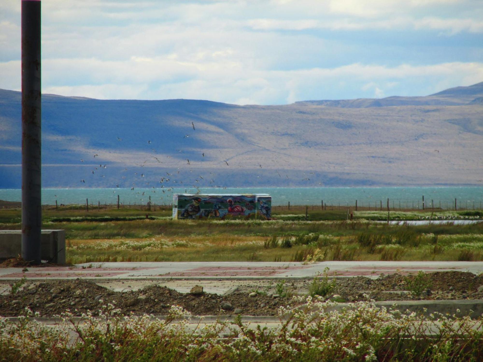 Hostel Aves Del Lago El Calafate Zewnętrze zdjęcie
